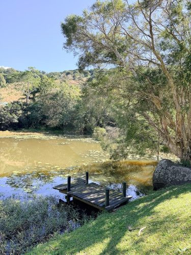 The Long Meadow, Piggabeen 17