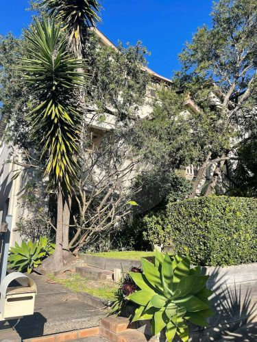 outdoor area backyard pool garden established