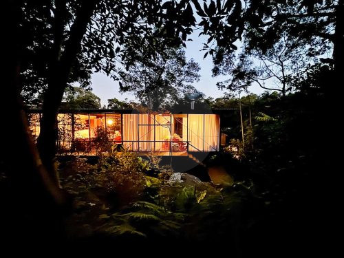 1957 Glass House, Castlecrag 4