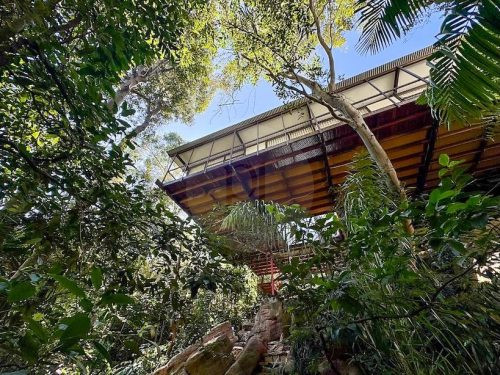 1957 Glass House, Castlecrag 9