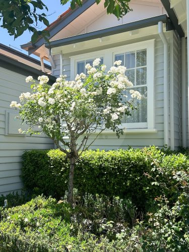 garden established