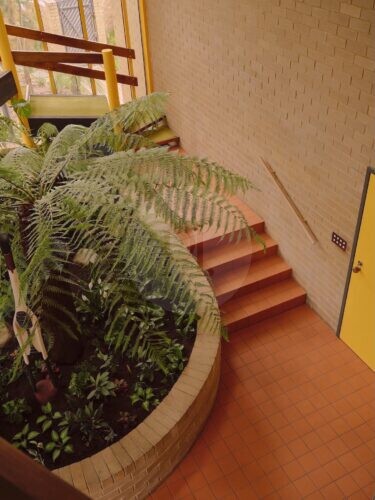 Garden House, Glen Iris 19