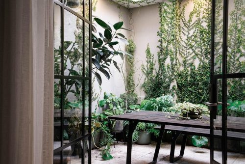 outdoor area garden established