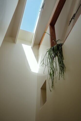 Niwa, Dulwich Hill 31