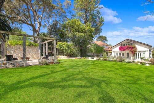 backyard