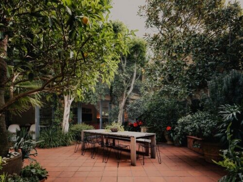 backyard