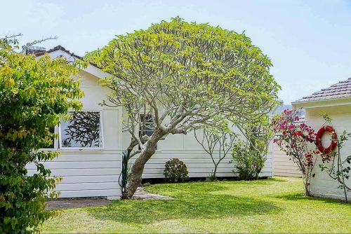 Tideway, Palm Beach 10