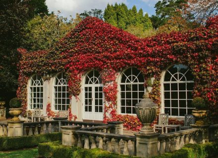 02fdd7909067b6e6b946c07a80bd70efa240f6b4-1350x1125