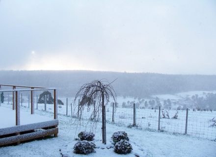 13.-Winter-2017-1024x768-1.jpg