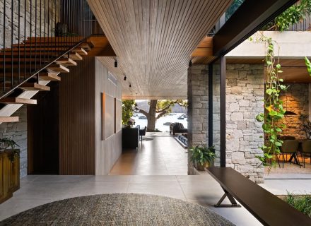 2025 Images_Modern Jungle, Clareville 11