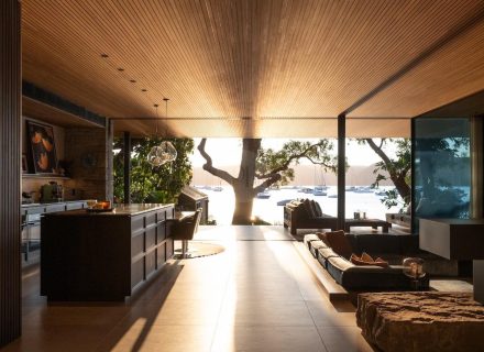 2025 Images_Modern Jungle, Clareville 25