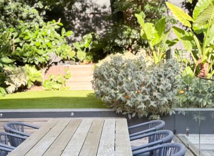 outdoor area backyard