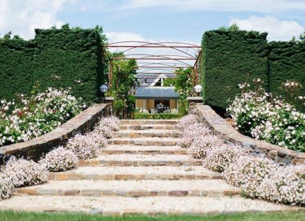 garden established