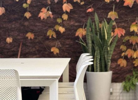 ARES OUTDOOR DINING AND FLOWERSS17