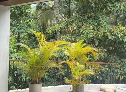 ASTOR'S VILLA, UBUD14