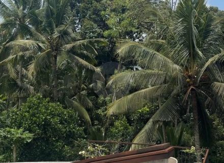 ASTOR'S VILLA, UBUD16