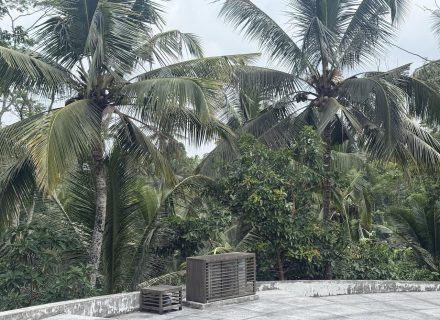 ASTOR'S VILLA, UBUD17