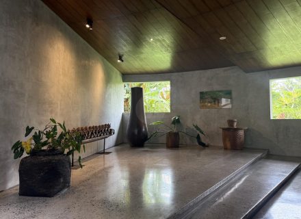 ASTOR'S VILLA, UBUD5
