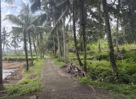 ASTOR'S VILLA, UBUD58