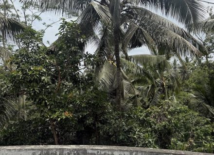 ASTOR'S VILLA, UBUD67