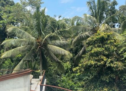 ASTOR'S VILLA, UBUD68