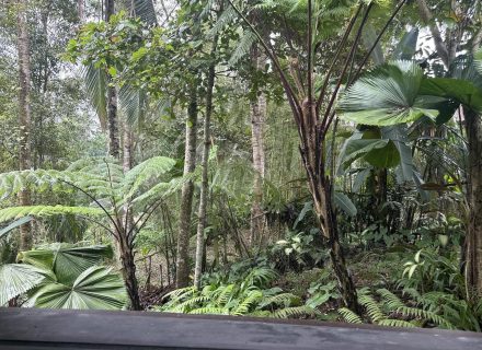 ASTOR'S VILLA, UBUD69