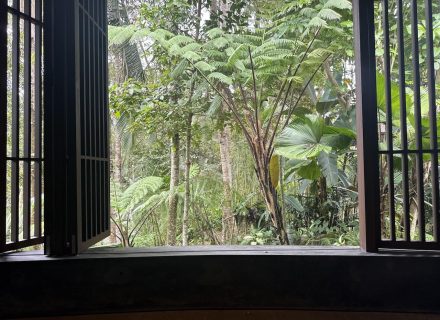 ASTOR'S VILLA, UBUD74