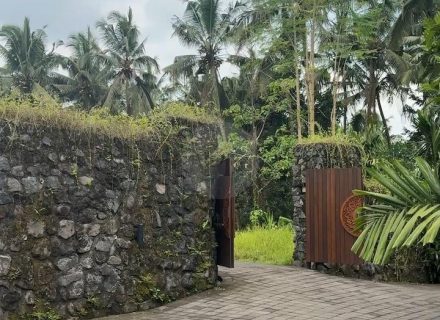 ASTOR'S VILLA, UBUD8