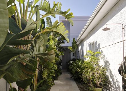 garden established