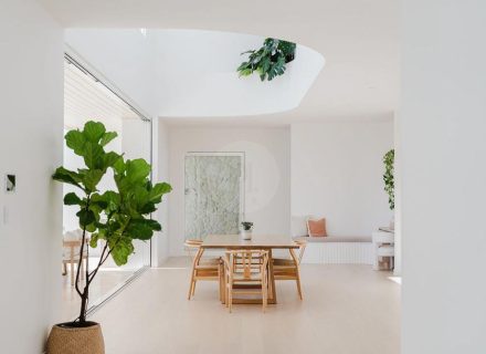 Adalea, Buderim-24