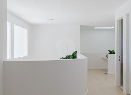 Adalea, Buderim-43