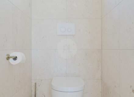 Adalea, Buderim-46
