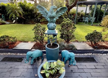 Adaline, Bellevue Hill_17
