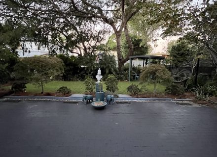 Adaline, Bellevue Hill_26