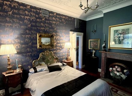 Adaline, Bellevue Hill_46