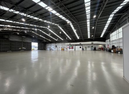 garden established pool