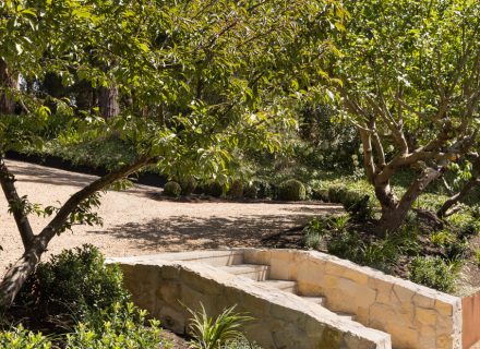 garden established