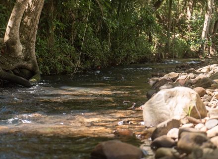 Ananda, Currumbin Valley_29