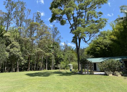 Ananda, Currumbin Valley_4