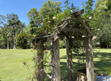 garden established