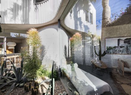 outdoor area backyard garden established