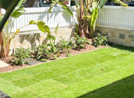 Arrosa, Caringbah-29