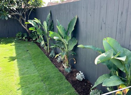 Arrosa, Caringbah-30