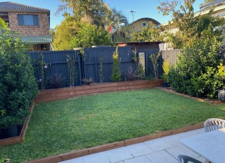 backyard garden established pool