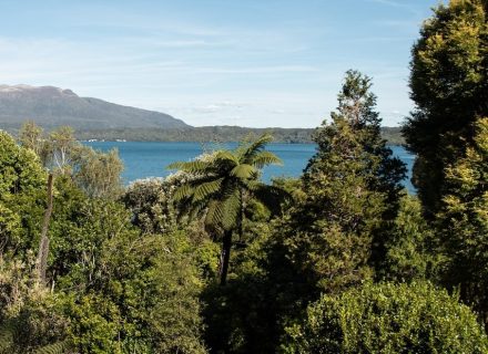 August, Lake Tarawera 36