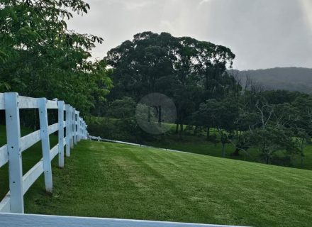 Aurelle, Kurrajon-79