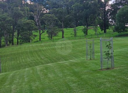 Aurelle, Kurrajon-82