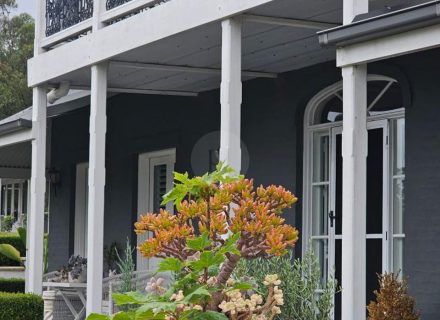 Aurelle, Kurrajong-14