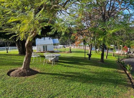 Aurelle, Kurrajong-22