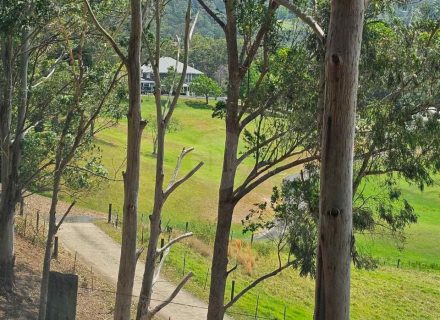 Aurelle, Kurrajong-23